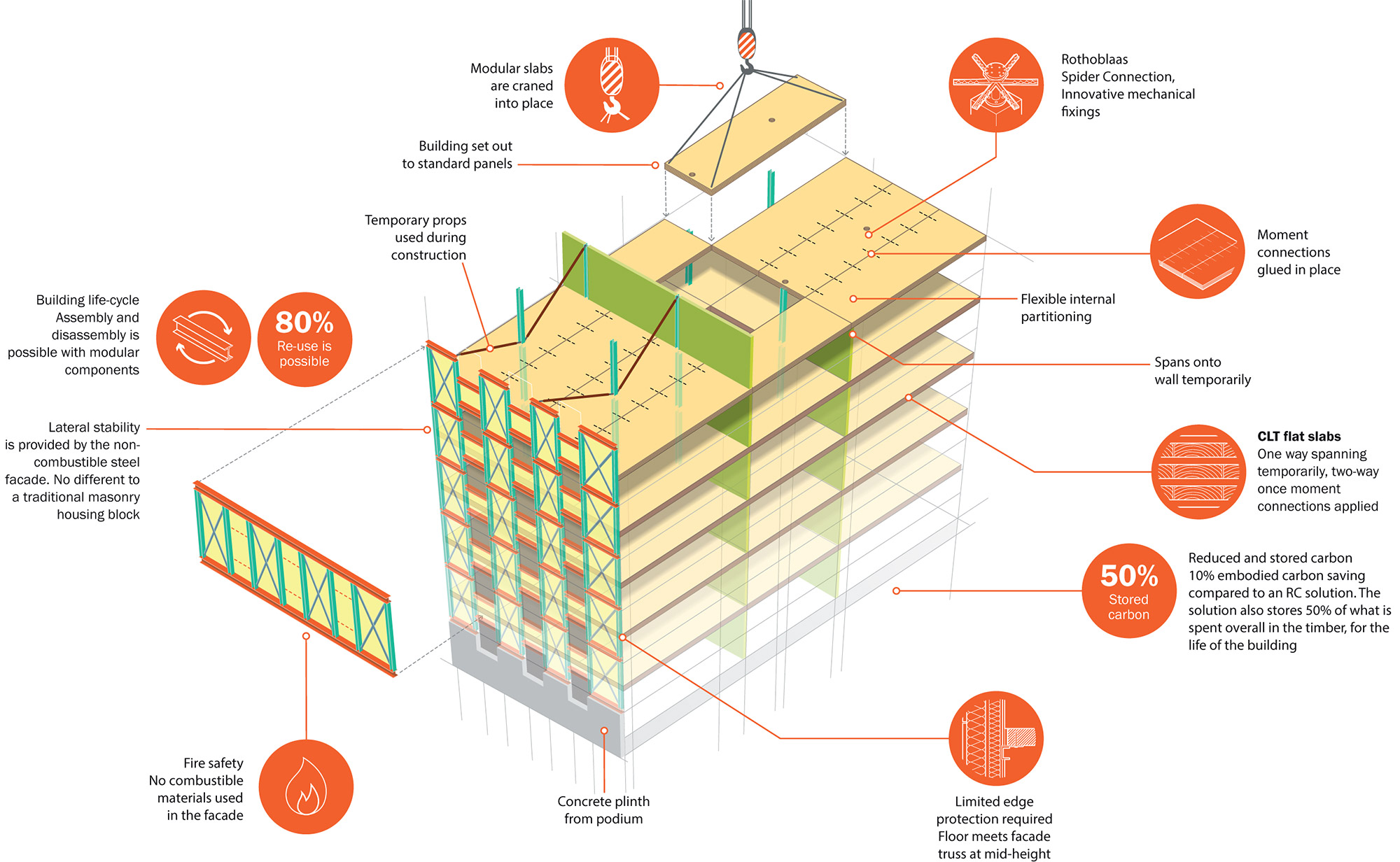 Tall timber infographic by Paul Weston